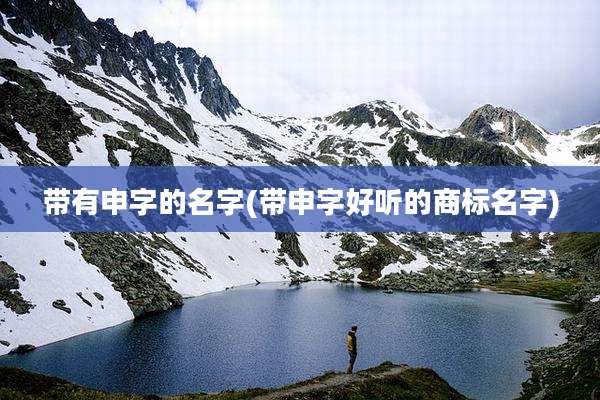 带有申字的名字(带申字好听的商标名字)
