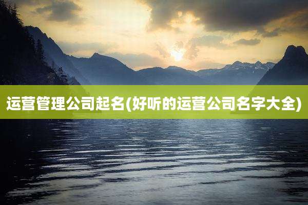 运营管理公司起名(好听的运营公司名字大全)