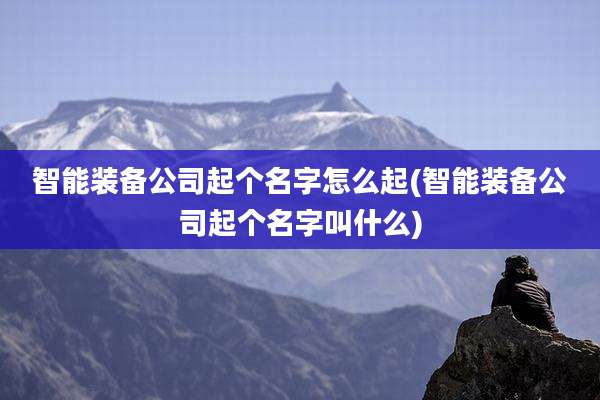 智能装备公司起个名字怎么起(智能装备公司起个名字叫什么)