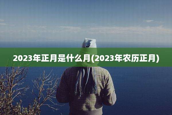 2023年正月是什么月(2023年农历正月)