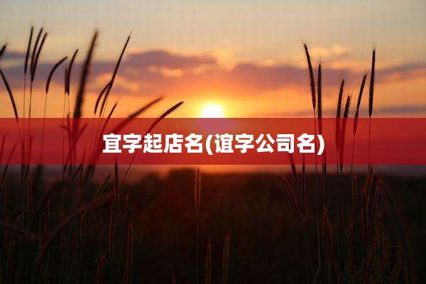 宜字起店名(谊字公司名)