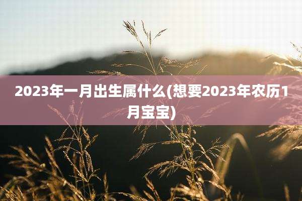2023年一月出生属什么(想要2023年农历1月宝宝)