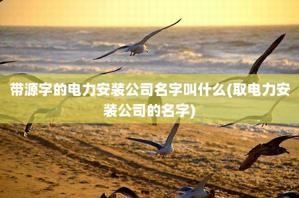 带源字的电力安装公司名字叫什么(取电力安装公司的名字)