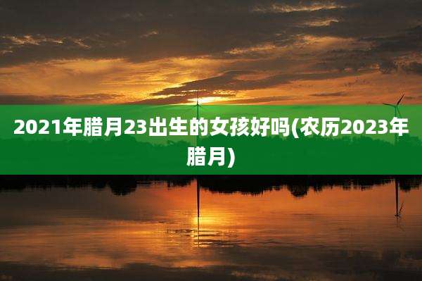 2021年腊月23出生的女孩好吗(农历2023年腊月)