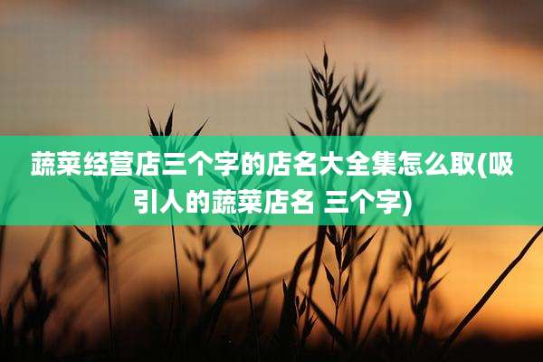 蔬菜经营店三个字的店名大全集怎么取(吸引人的蔬菜店名 三个字)