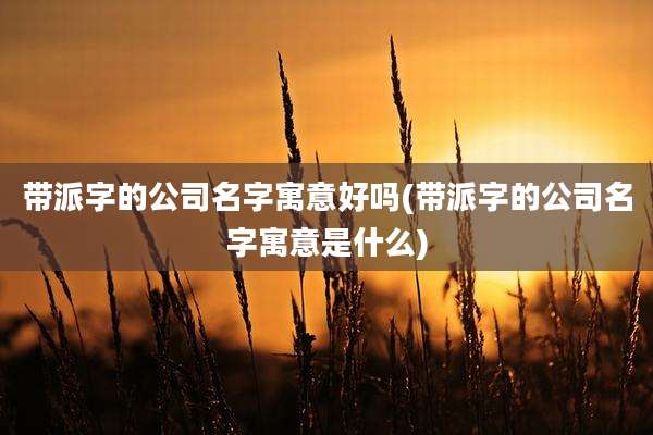 带派字的公司名字寓意好吗(带派字的公司名字寓意是什么)