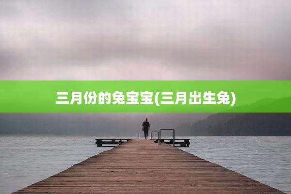 三月份的兔宝宝(三月出生兔)