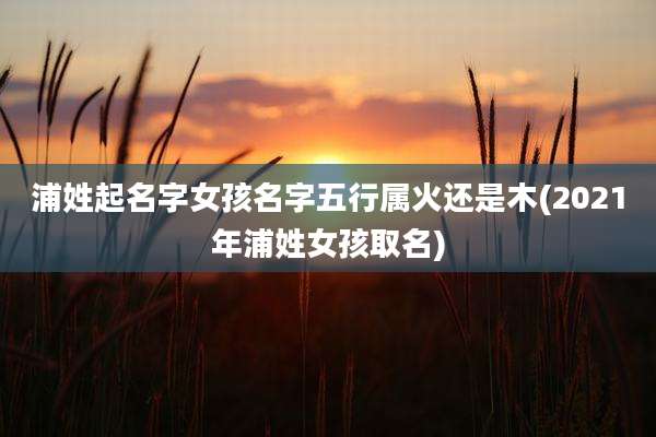 浦姓起名字女孩名字五行属火还是木(2021年浦姓女孩取名)