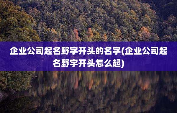 企业公司起名野字开头的名字(企业公司起名野字开头怎么起)