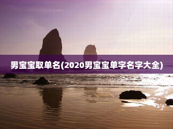男宝宝取单名(2020男宝宝单字名字大全)