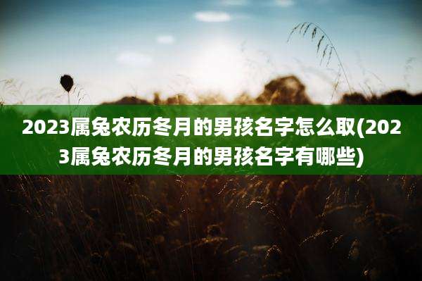 2023属兔农历冬月的男孩名字怎么取(2023属兔农历冬月的男孩名字有哪些)