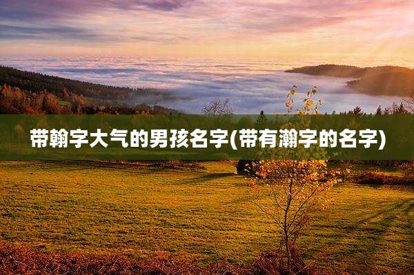 带翰字大气的男孩名字(带有瀚字的名字)
