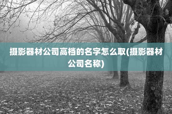 摄影器材公司高档的名字怎么取(摄影器材公司名称)