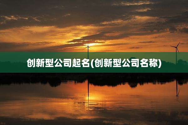 创新型公司起名(创新型公司名称)