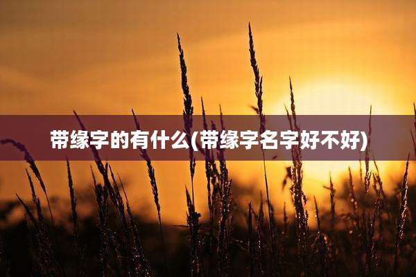 带缘字的有什么(带缘字名字好不好)