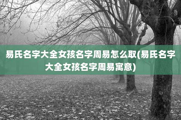 易氏名字大全女孩名字周易怎么取(易氏名字大全女孩名字周易寓意)