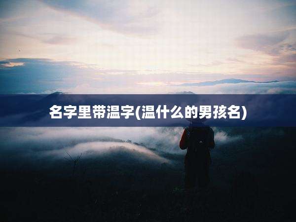 名字里带温字(温什么的男孩名)
