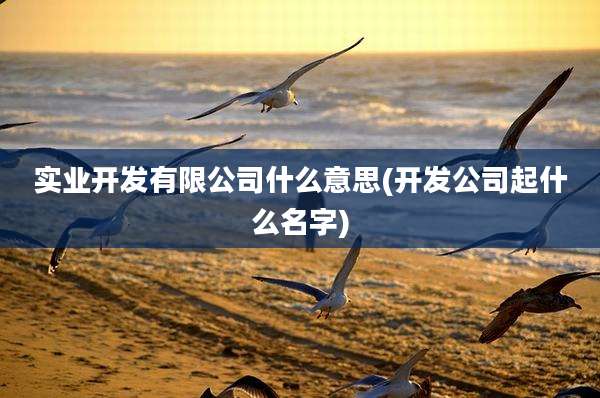 实业开发有限公司什么意思(开发公司起什么名字)