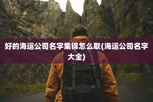 好的海运公司名字集锦怎么取(海运公司名字大全)