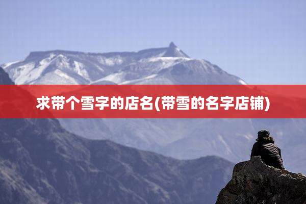 求带个雪字的店名(带雪的名字店铺)