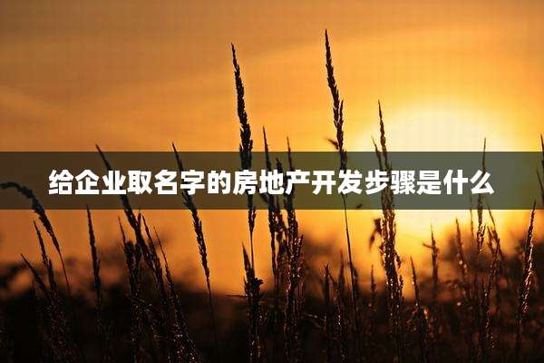 给企业取名字的房地产开发步骤是什么