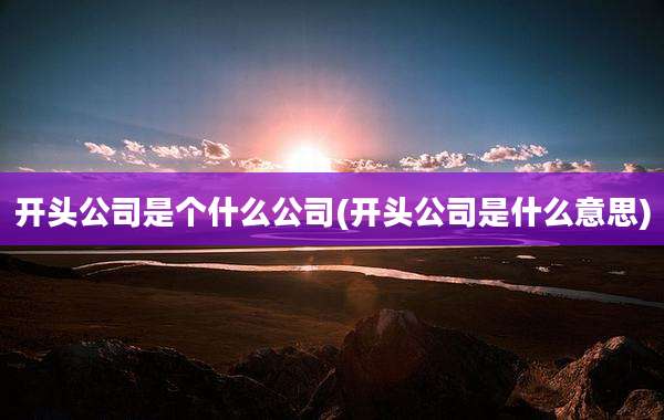开头公司是个什么公司(开头公司是什么意思)