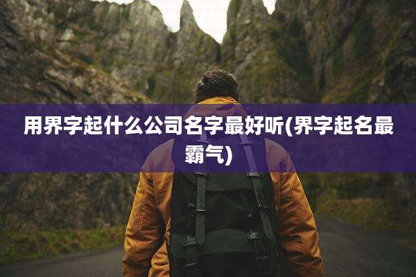 用界字起什么公司名字最好听(界字起名最霸气)