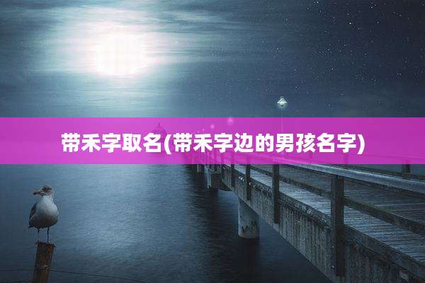 带禾字取名(带禾字边的男孩名字)