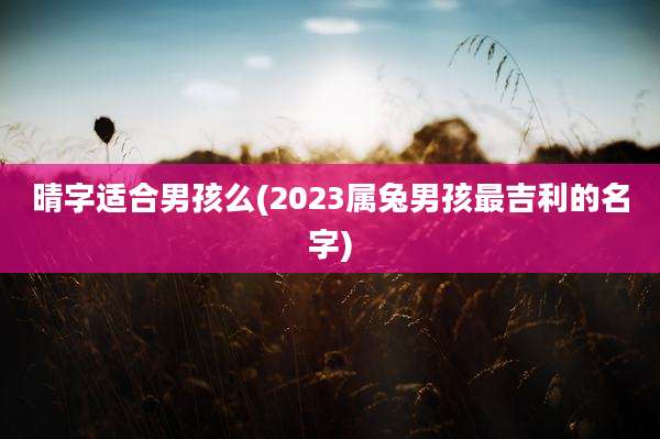 晴字适合男孩么(2023属兔男孩最吉利的名字)
