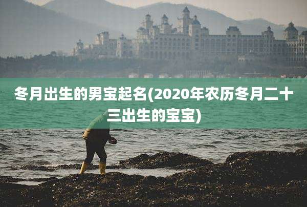 冬月出生的男宝起名(2020年农历冬月二十三出生的宝宝)