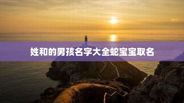 姓和的男孩名字大全蛇宝宝取名