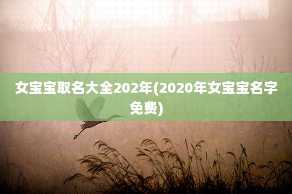 女宝宝取名大全202年(2020年女宝宝名字免费)