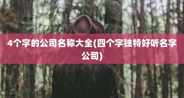 4个字的公司名称大全(四个字独特好听名字公司)