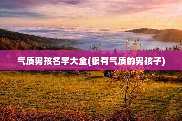 气质男孩名字大全(很有气质的男孩子)