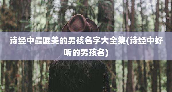 诗经中最唯美的男孩名字大全集(诗经中好听的男孩名)