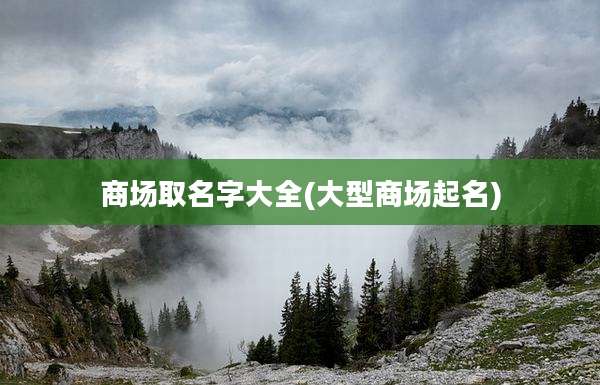 商场取名字大全(大型商场起名)
