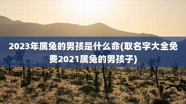 2023年属兔的男孩是什么命(取名字大全免费2021属兔的男孩子)