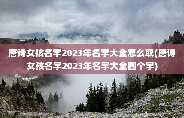 唐诗女孩名字2023年名字大全怎么取(唐诗女孩名字2023年名字大全四个字)