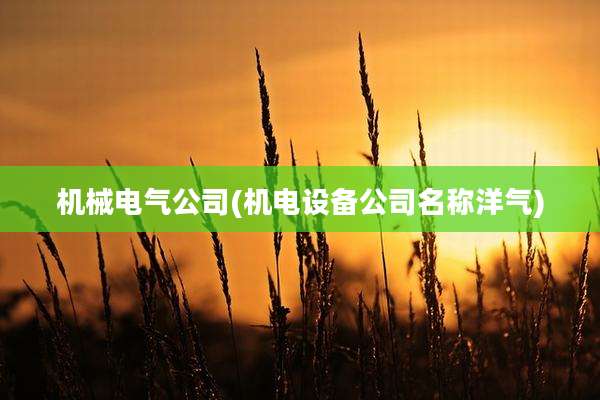 机械电气公司(机电设备公司名称洋气)