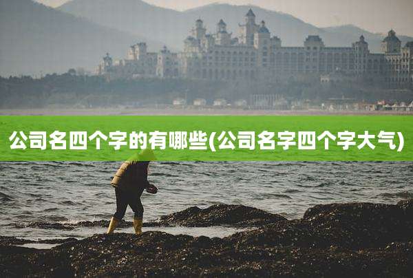 公司名四个字的有哪些(公司名字四个字大气)