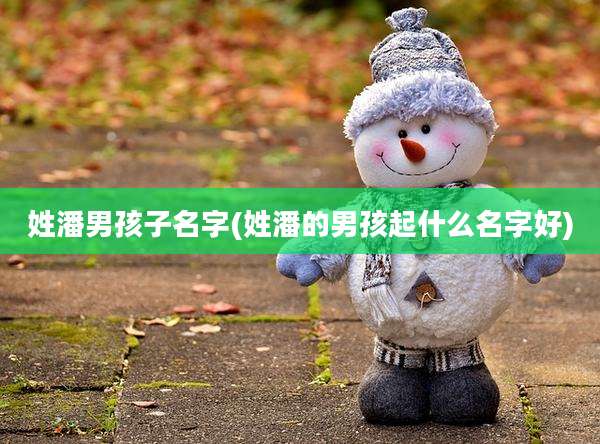 姓潘男孩子名字(姓潘的男孩起什么名字好)