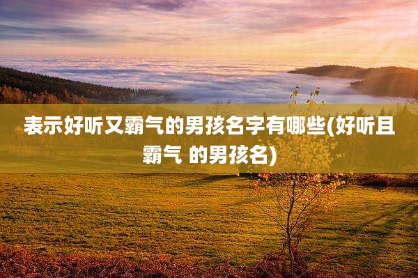 表示好听又霸气的男孩名字有哪些(好听且霸气 的男孩名)