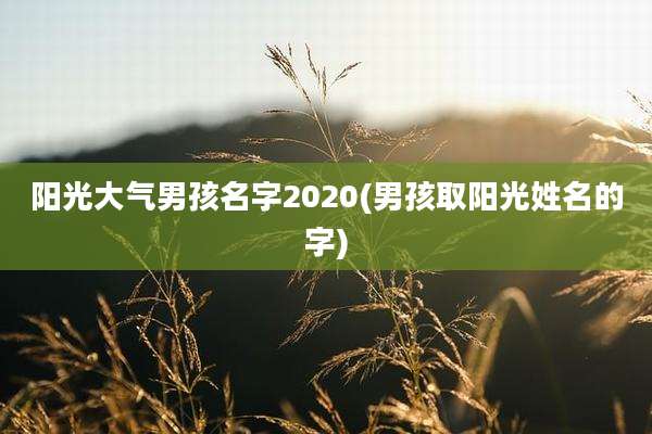 阳光大气男孩名字2020(男孩取阳光姓名的字)