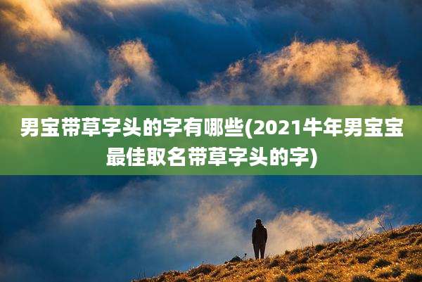 男宝带草字头的字有哪些(2021牛年男宝宝最佳取名带草字头的字)