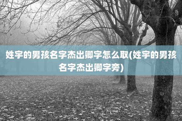 姓宇的男孩名字杰出卿字怎么取(姓宇的男孩名字杰出卿字旁)