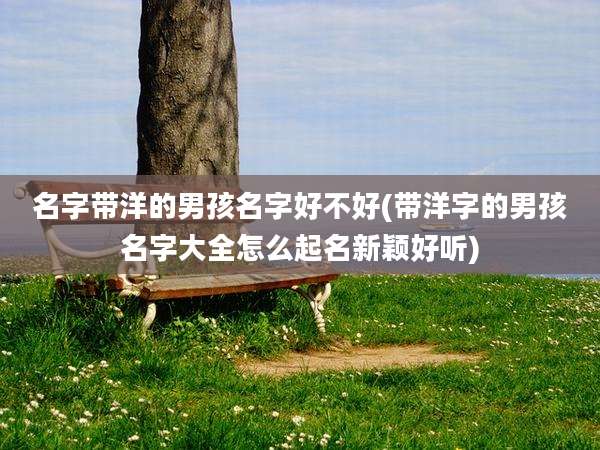 名字带洋的男孩名字好不好(带洋字的男孩名字大全怎么起名新颖好听)