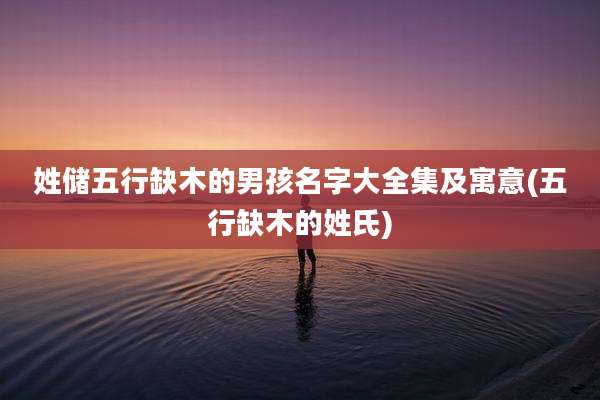 姓储五行缺木的男孩名字大全集及寓意(五行缺木的姓氏)