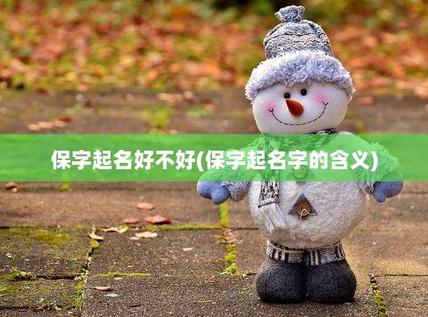 保字起名好不好(保字起名字的含义)