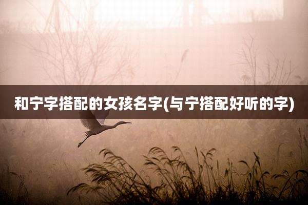 和宁字搭配的女孩名字(与宁搭配好听的字)