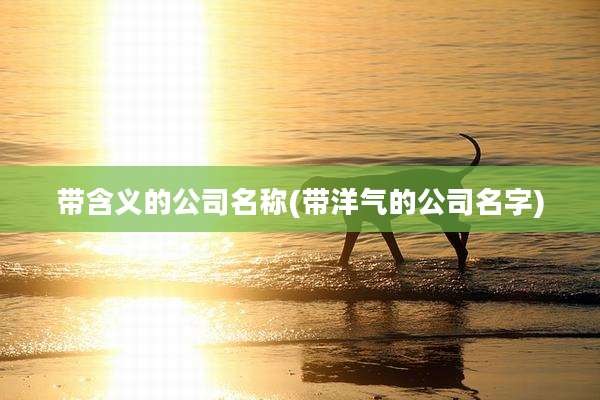 带含义的公司名称(带洋气的公司名字)